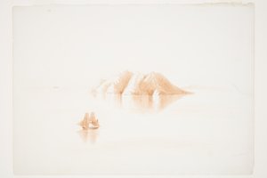 Little Barrier Island by Charles Heaphy